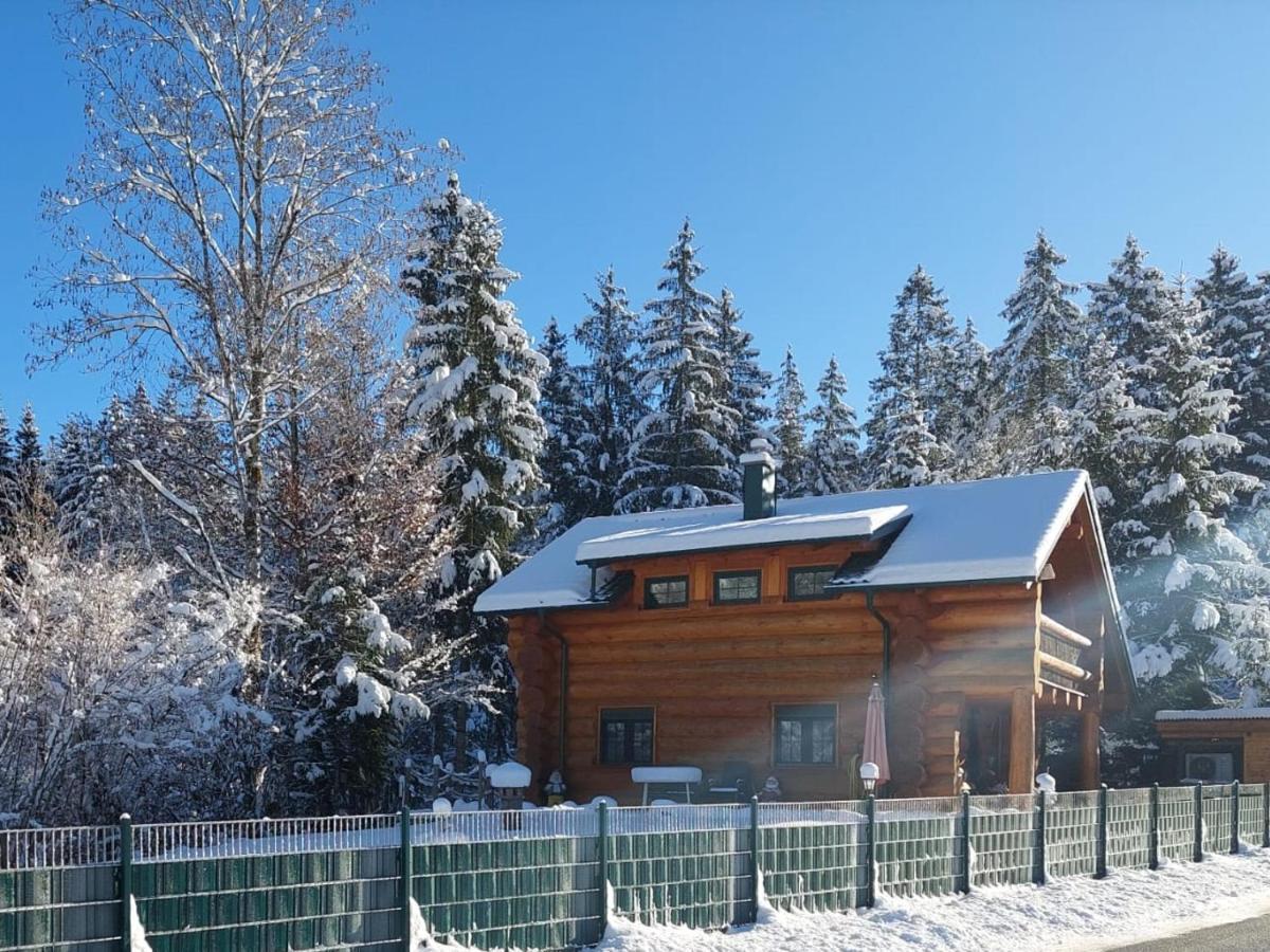 Ferienwohnungen Blockhaus - Zwergenhaeusl Grünau im Almtal 外观 照片