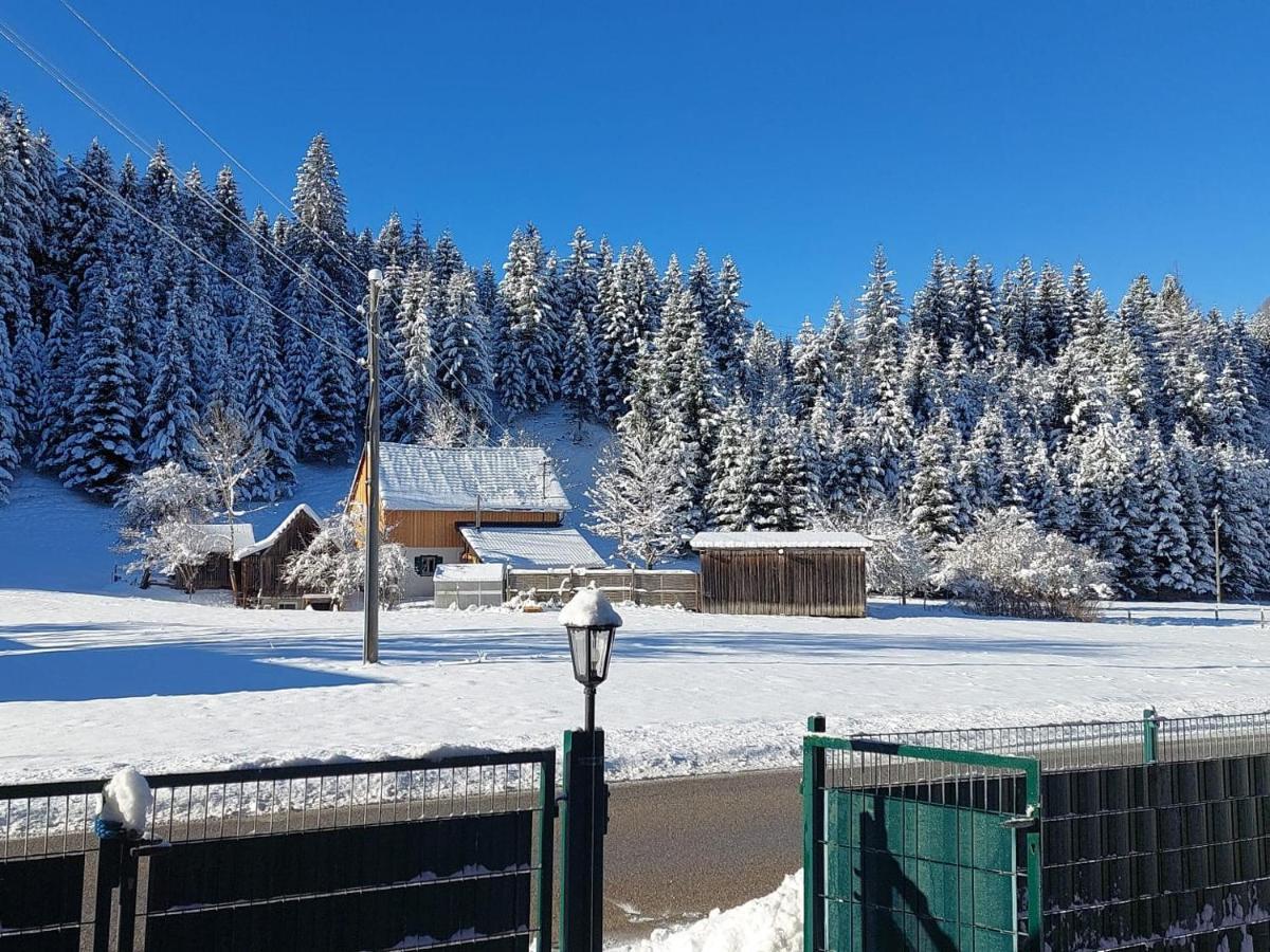 Ferienwohnungen Blockhaus - Zwergenhaeusl Grünau im Almtal 外观 照片