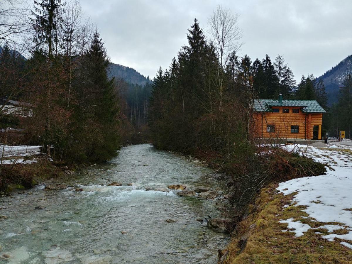 Ferienwohnungen Blockhaus - Zwergenhaeusl Grünau im Almtal 外观 照片
